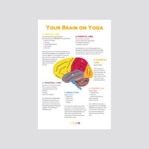 your brain on yoga poster