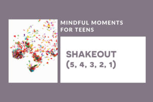 mindfulness for teens shakeout cover