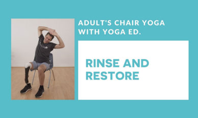 adult chair yoga poster